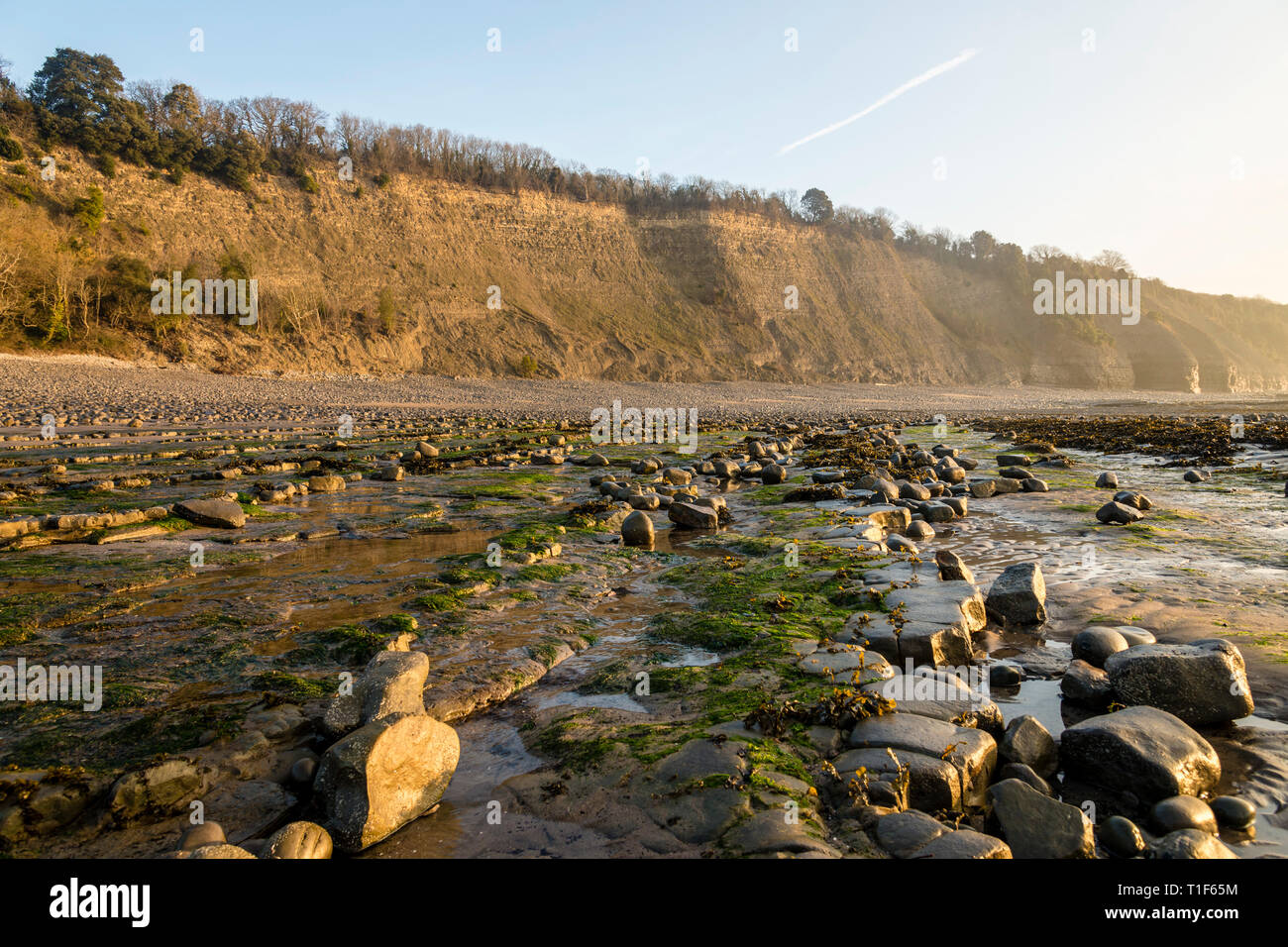 The empty rocky beach and the cliffs at the Knap, Barry, South Wales, bathed in bright early morning sunshine Stock Photo