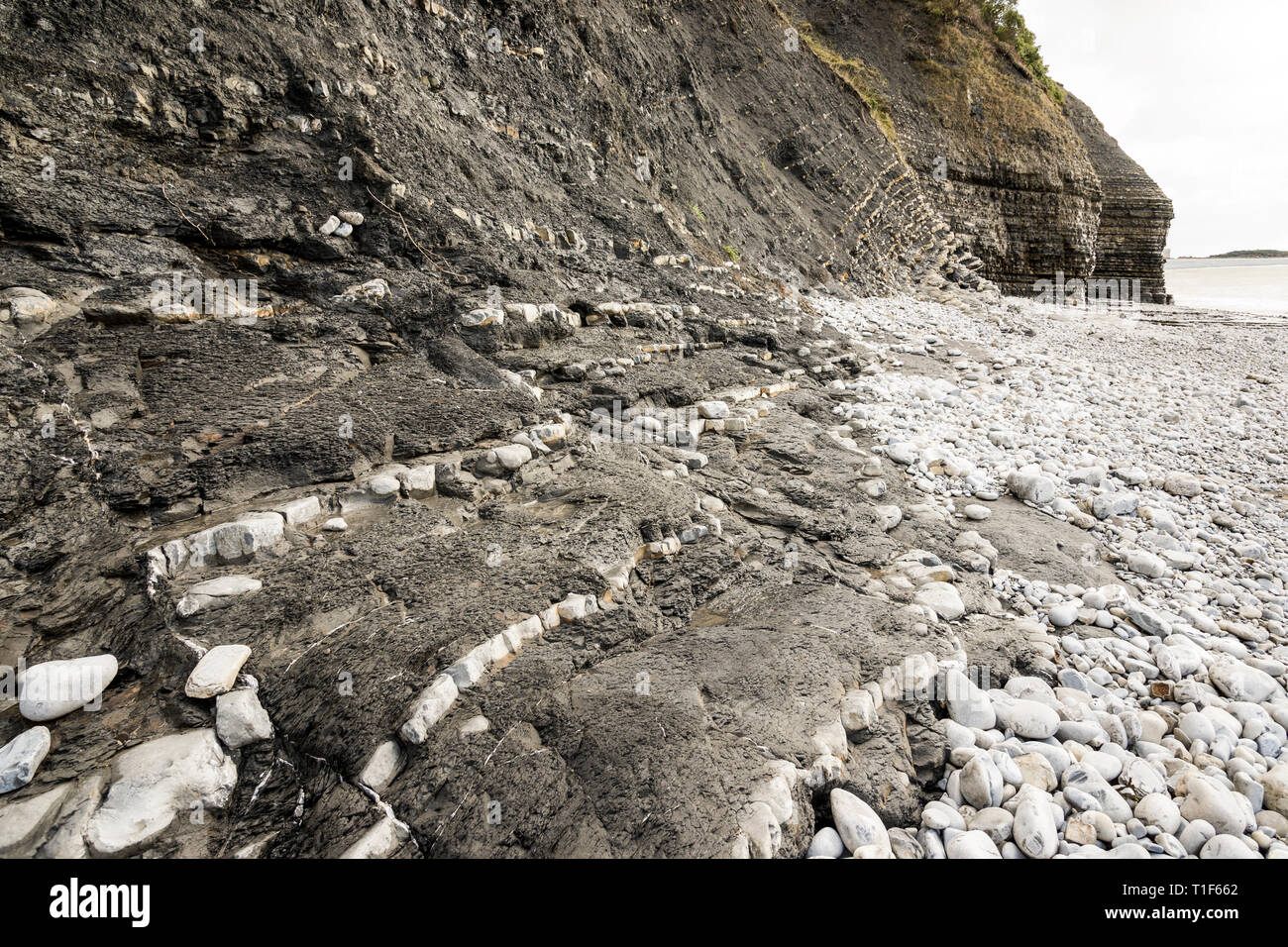 Rock strata revealed by erosion at the base of cliffs by Bull's Nose, The Knap, Barry, South Wales. Stock Photo