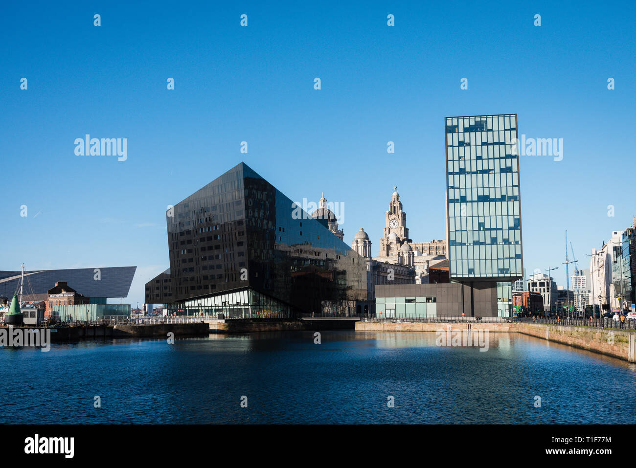 Longitude Building and Liver Building at the albert docks, liverpool Stock Photo