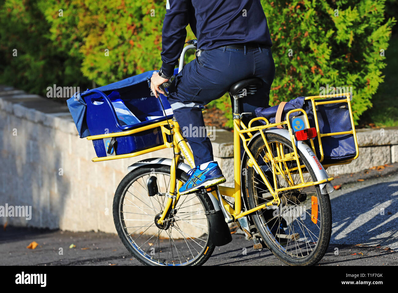 mail order bicycles