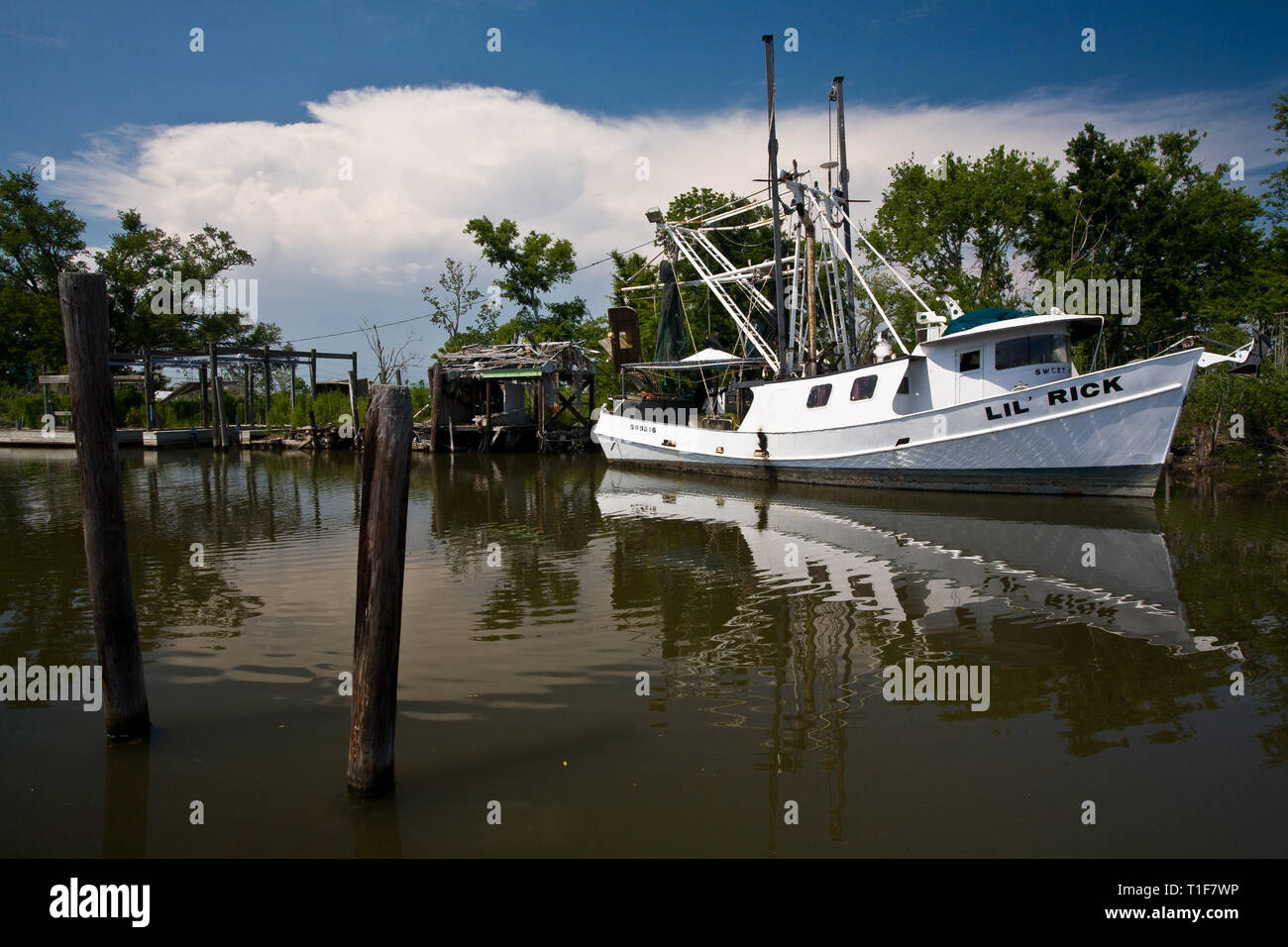 Shrimp boat louisiana hi-res stock photography and images - Alamy