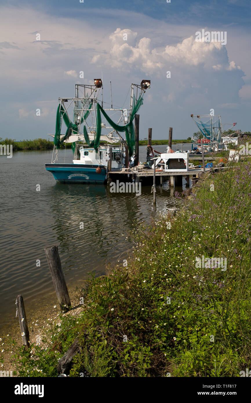 Delacroix, Saint Bernard Parish, Louisiana, USA Stock Photo Alamy