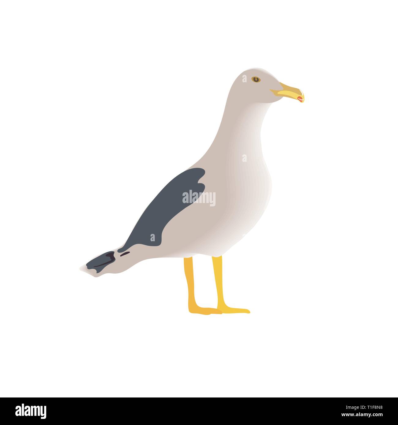 Resting curious standing sea bird, half side view, long neck, white feathers, legs, yellow beak, folded spotted wings. Stock Vector
