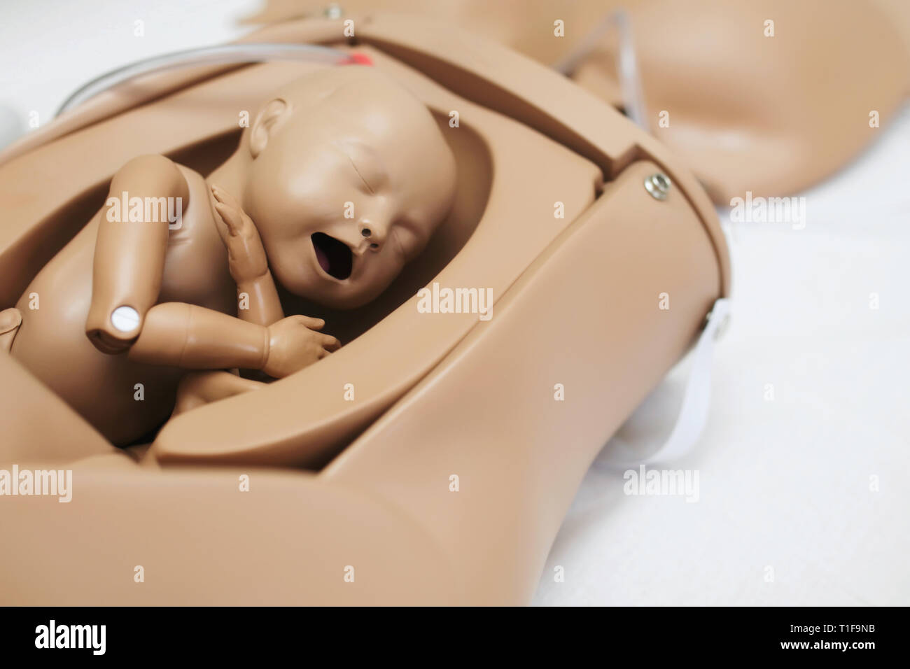 womb baby doll