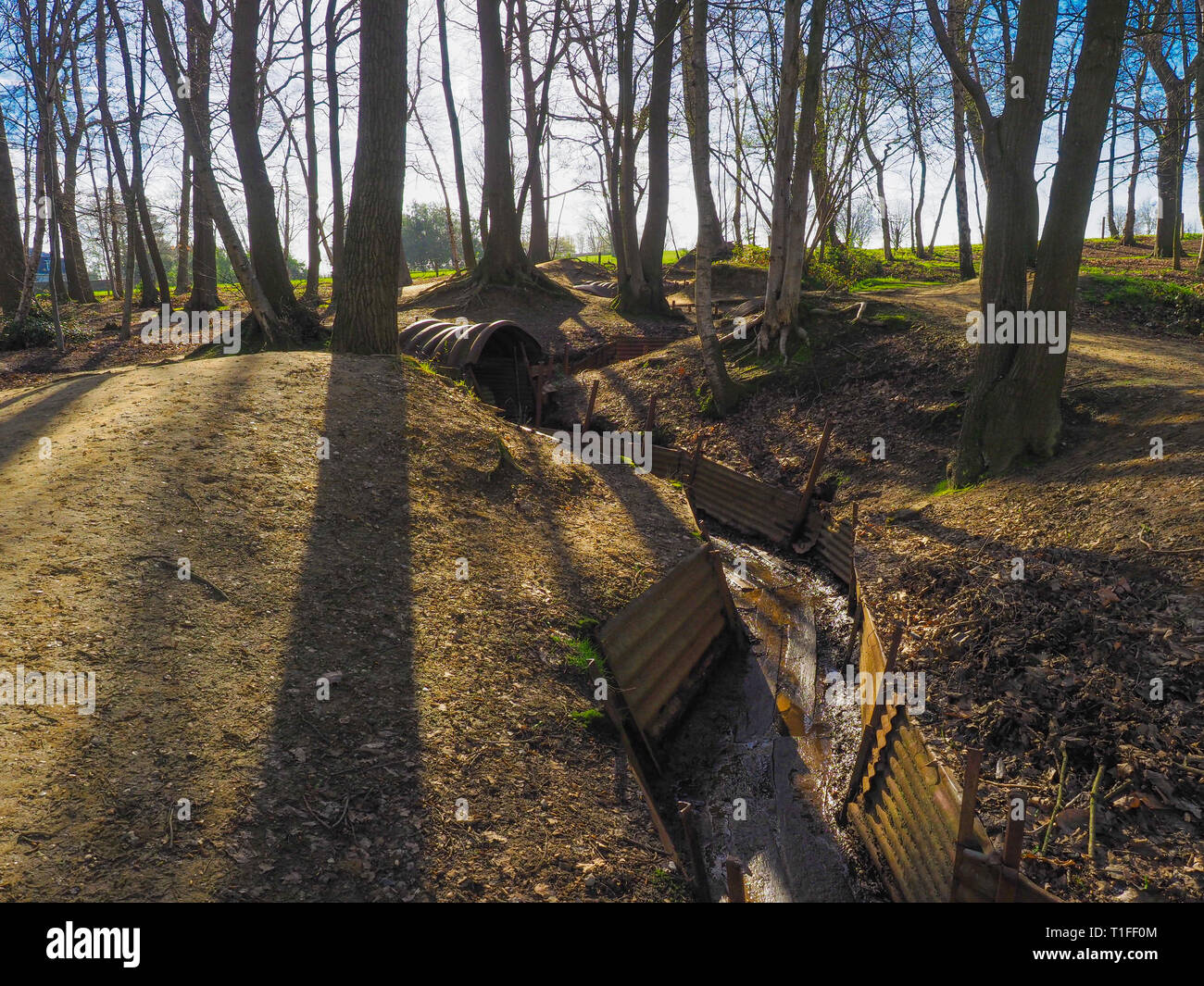 Trenches at Sanctuary Wood Ypres Stock Photo