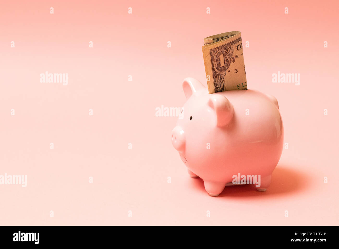 Piggy bank with dollar on living coral background. Commercial concept Stock Photo