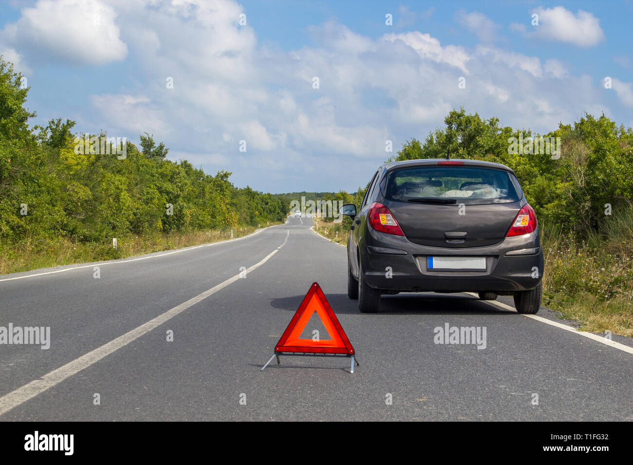 Car malfunction on countryside. Car waiting for help on the road. Car breakdown Stock Photo