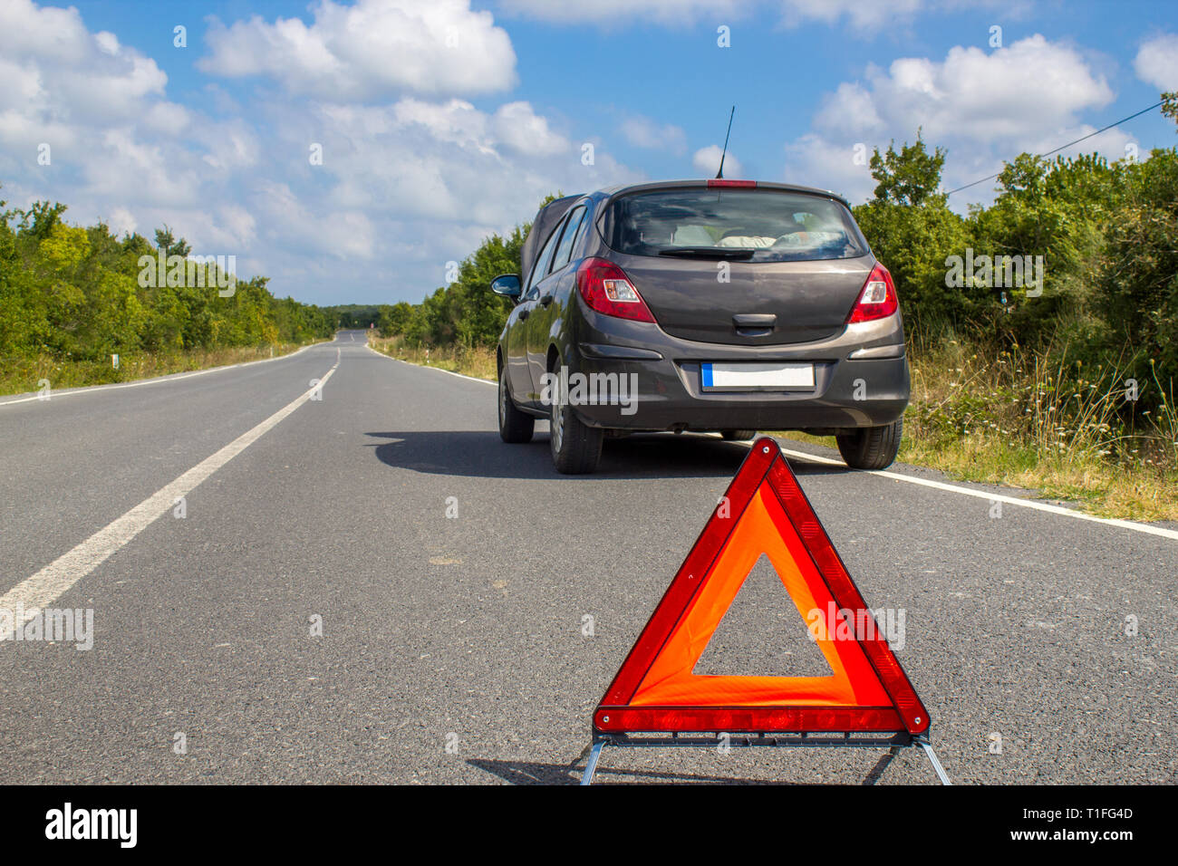 Car malfunction on countryside. Car waiting for help on the road. Car breakdown Stock Photo