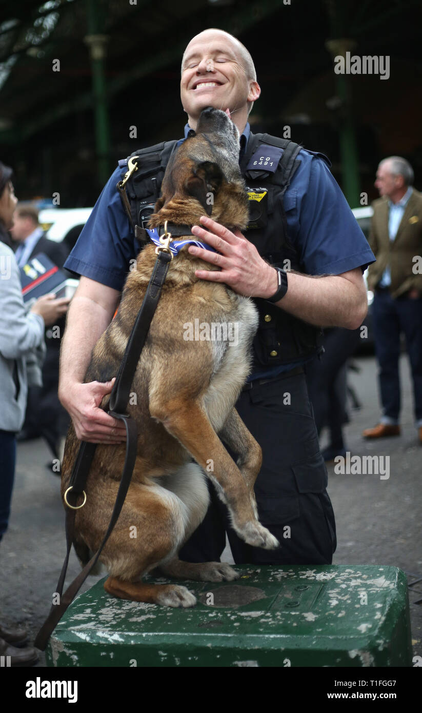 PD Delta, Firearms Support Dog, with handler PC Mark Snoxhall receives the PDSA Order of Merit, for terror attack heroics. He is one of seven hero police dogs receiving an award for helping emergency services during the 2017 London terror attacks at Westminster Bridge, London Bridge and Borough Market. Stock Photo
