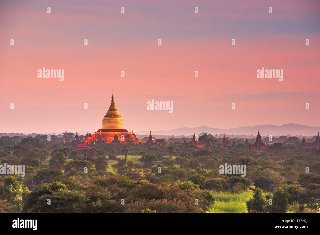 Bagan, Myanmar ancient temple ruins landscape with Ananda Temple in the archaeological zone at dusk. Stock Photo