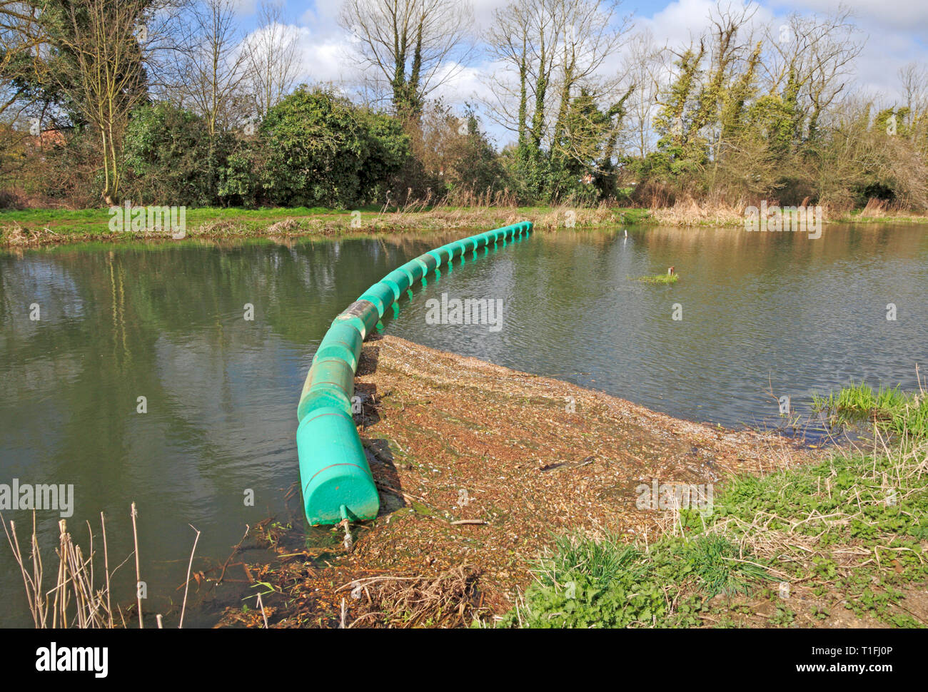 A boom across the River Bure to catch loose floating vegetation upstream of the mill at Horstead, Norfolk, England, United Kingdom, Europe. Stock Photo