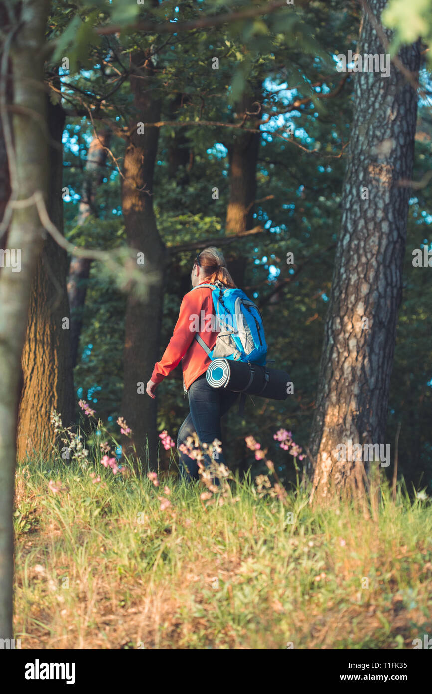 Young woman hiker with backpack walking along the path through the forest during summer vacation trip Stock Photo