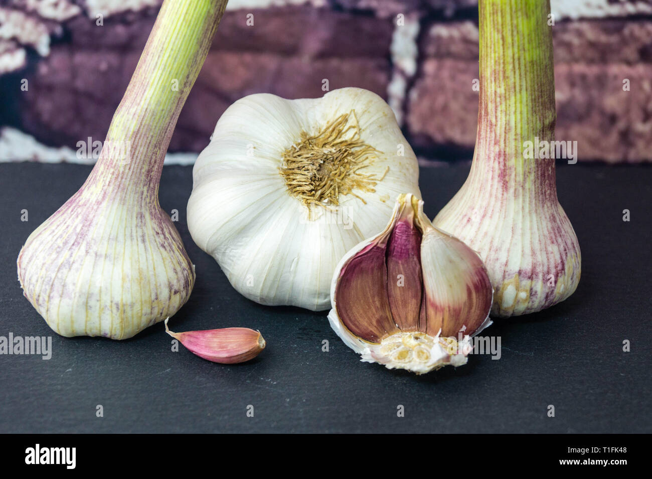 Garlic the beneficial and medicinal plant Stock Photo Alamy