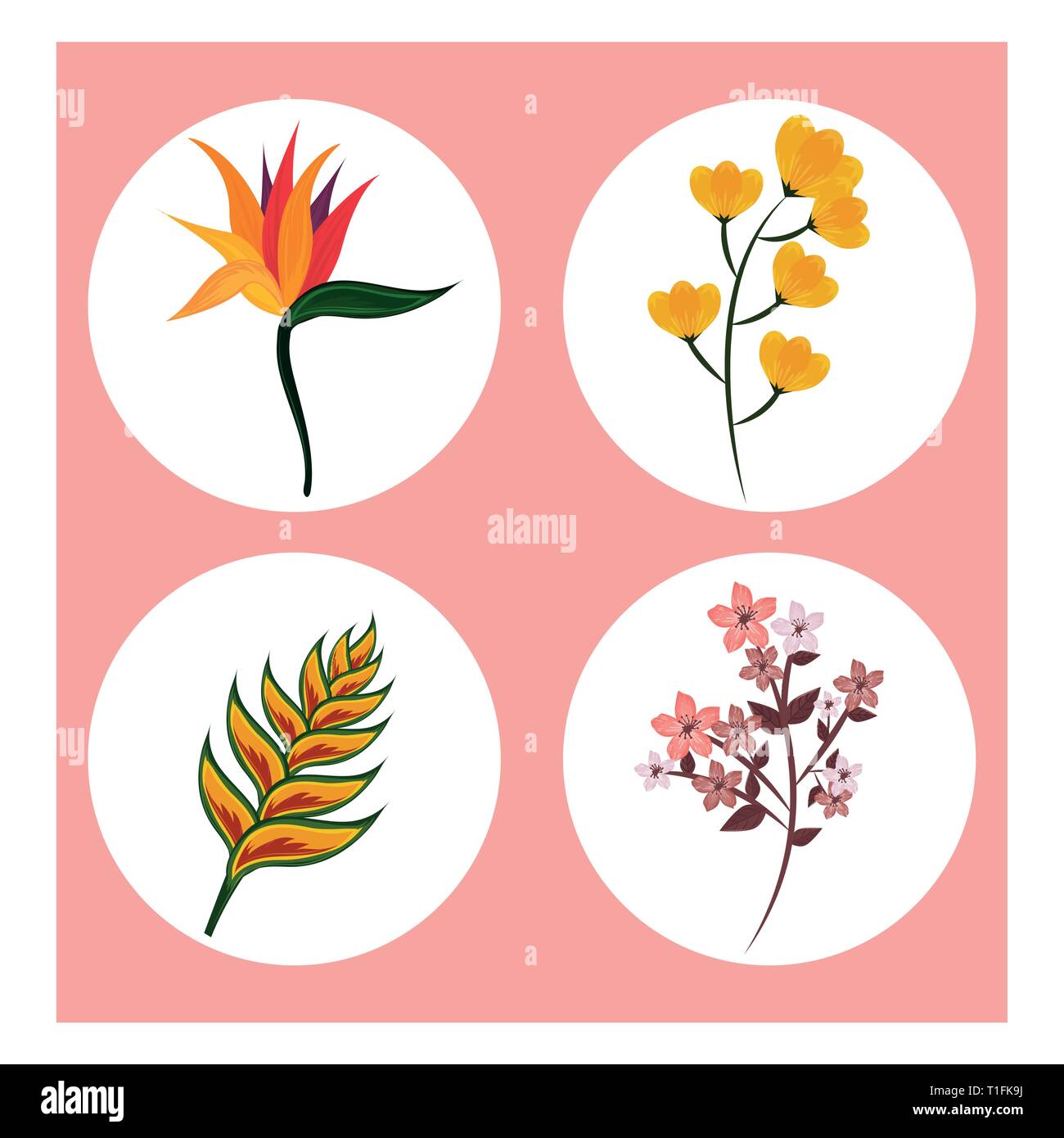 Flowers round icons Stock Vector Image & Art - Alamy
