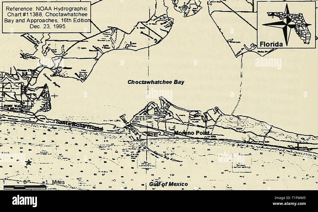 Choctawhatchee Bay Fishing Map Dms Diagnostic Modeling System Dms : Diagnostic Modeling System  Dmsdiagnosticmod00Goss Year: 1999 The Beach Directly East Is Known As  Holiday Isle. The Spit Has Been Developed With Roads, Canals, And  Condominiums Since