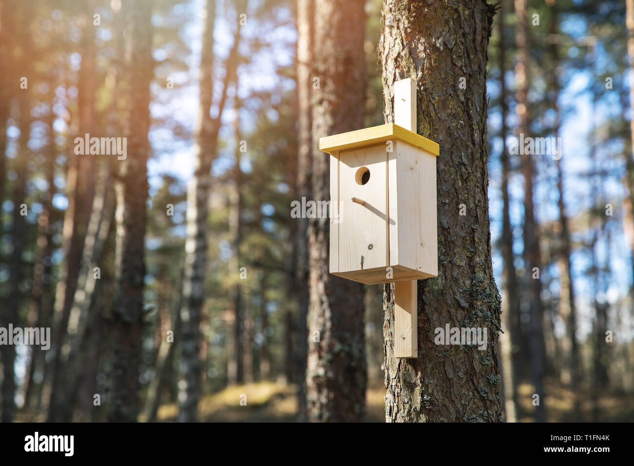 wooden bird house on the pine tree trunk Stock Photo