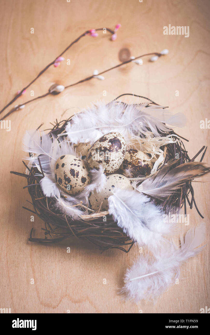 Easter background with eggs and flowers Stock Photo - Alamy