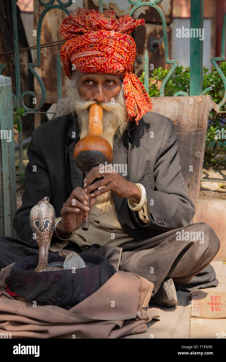 The Snake Charmer Stock Photo