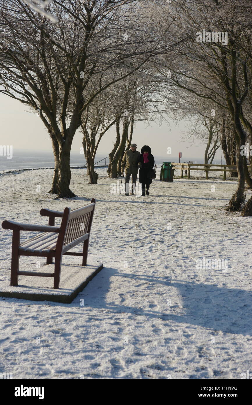 snow covered landscape, winter time Stock Photo