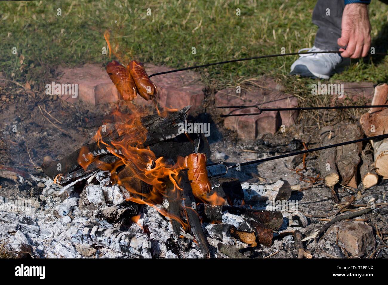 Bangers on a spit being prepared over outdoor campfire Stock Photo Alamy