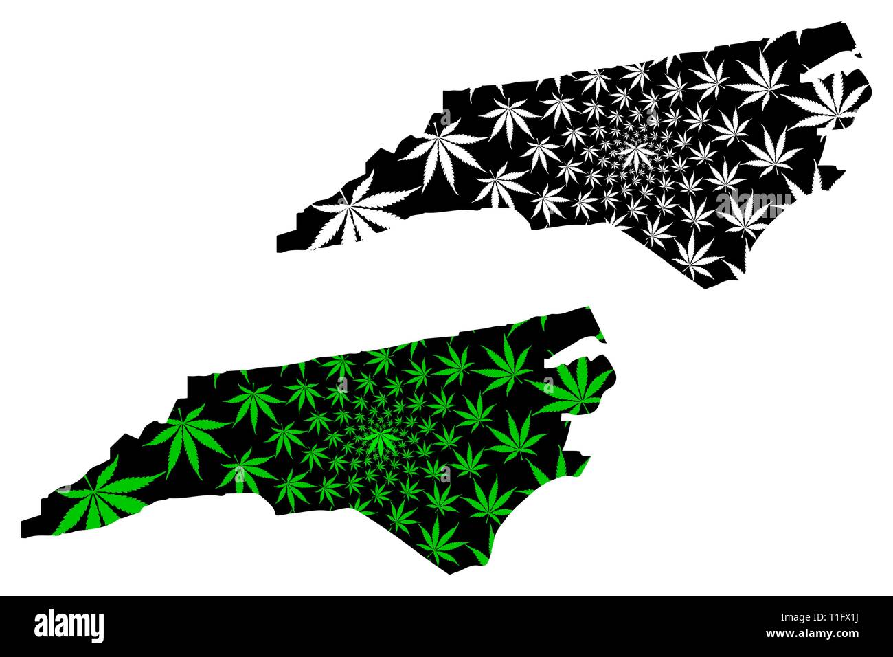 North Carolina United States of - North Carolina United States Of America Usa Us Us Map Is Designed Cannabis Leaf Green And Black State Of North Carolina Map Made Of Marijua T1FX1J 