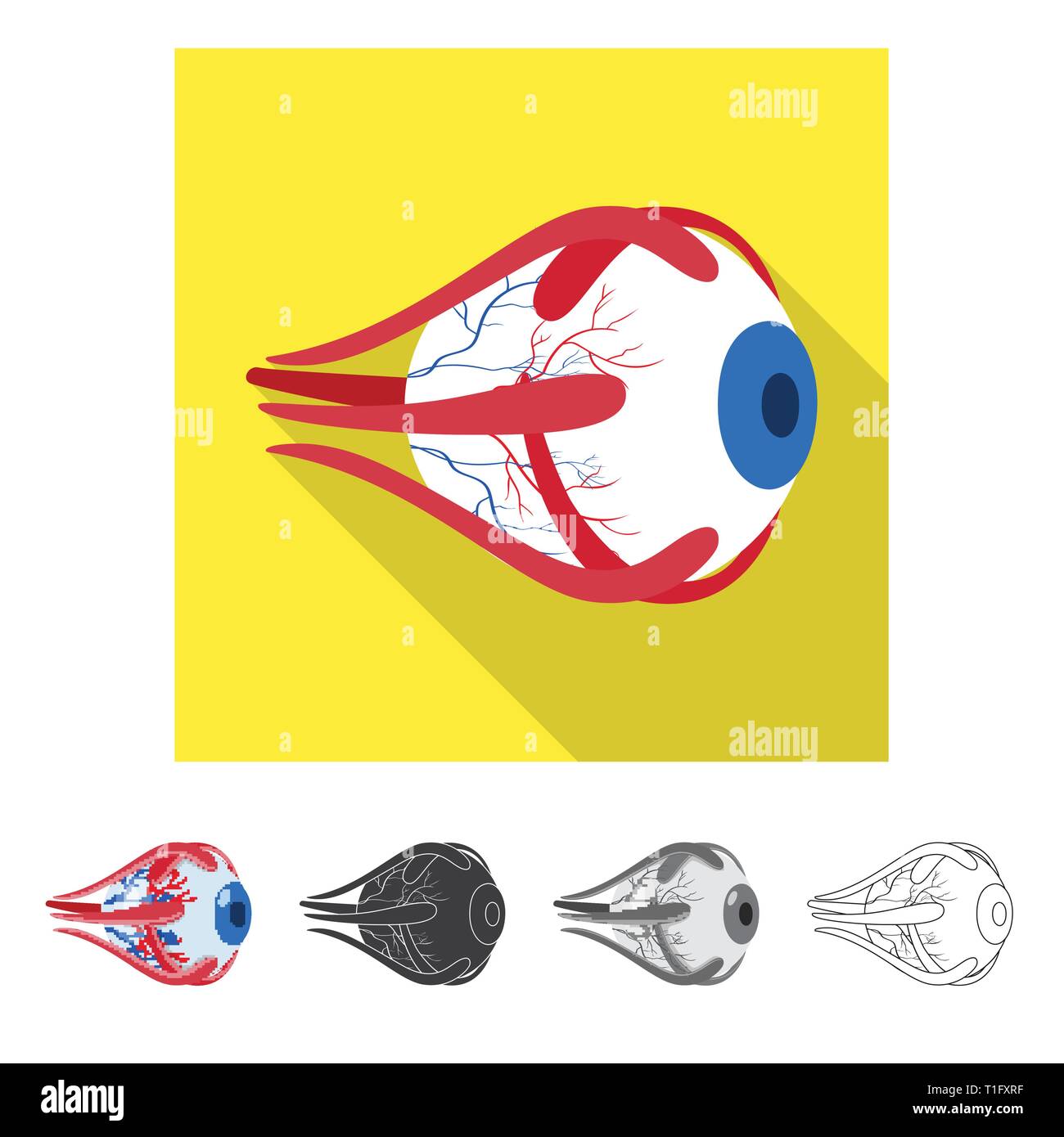 eyeball,eye,cornea,layers,structure,eyesight,protection,treatment