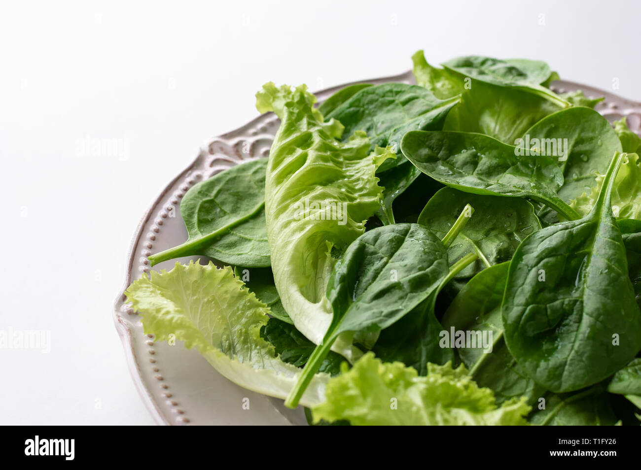 A mixture of spinach leaves and salana leaves on a plate. Selective focus, white background Stock Photo