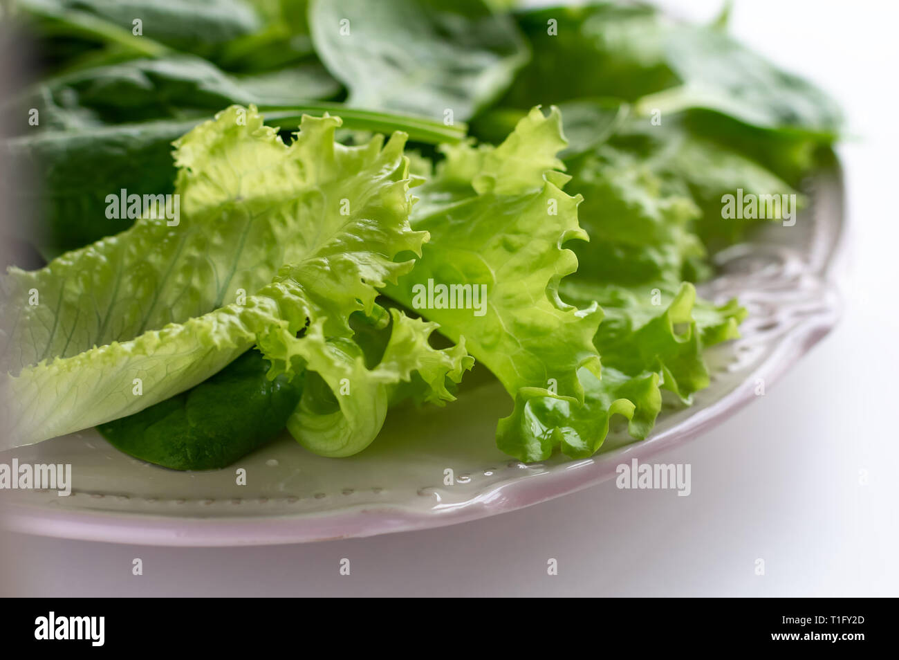 A mixture of spinach leaves and salana leaves on a plate. Selective focus, white background Stock Photo