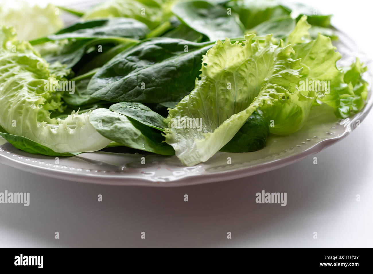 A mixture of spinach leaves and salana leaves on a plate. Selective focus, white background Stock Photo