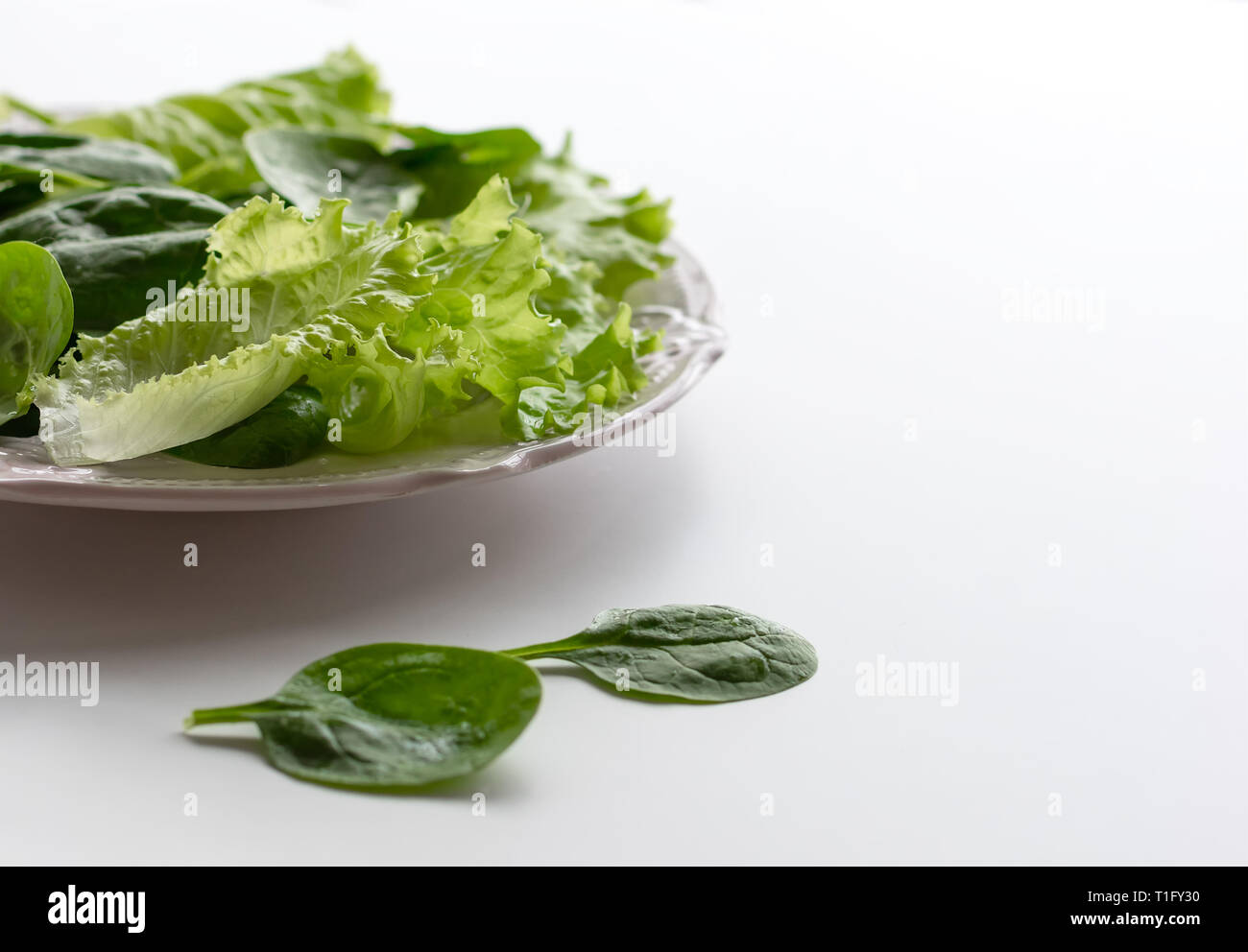 A mixture of spinach leaves and salana leaves on a plate. Selective focus, white background Stock Photo