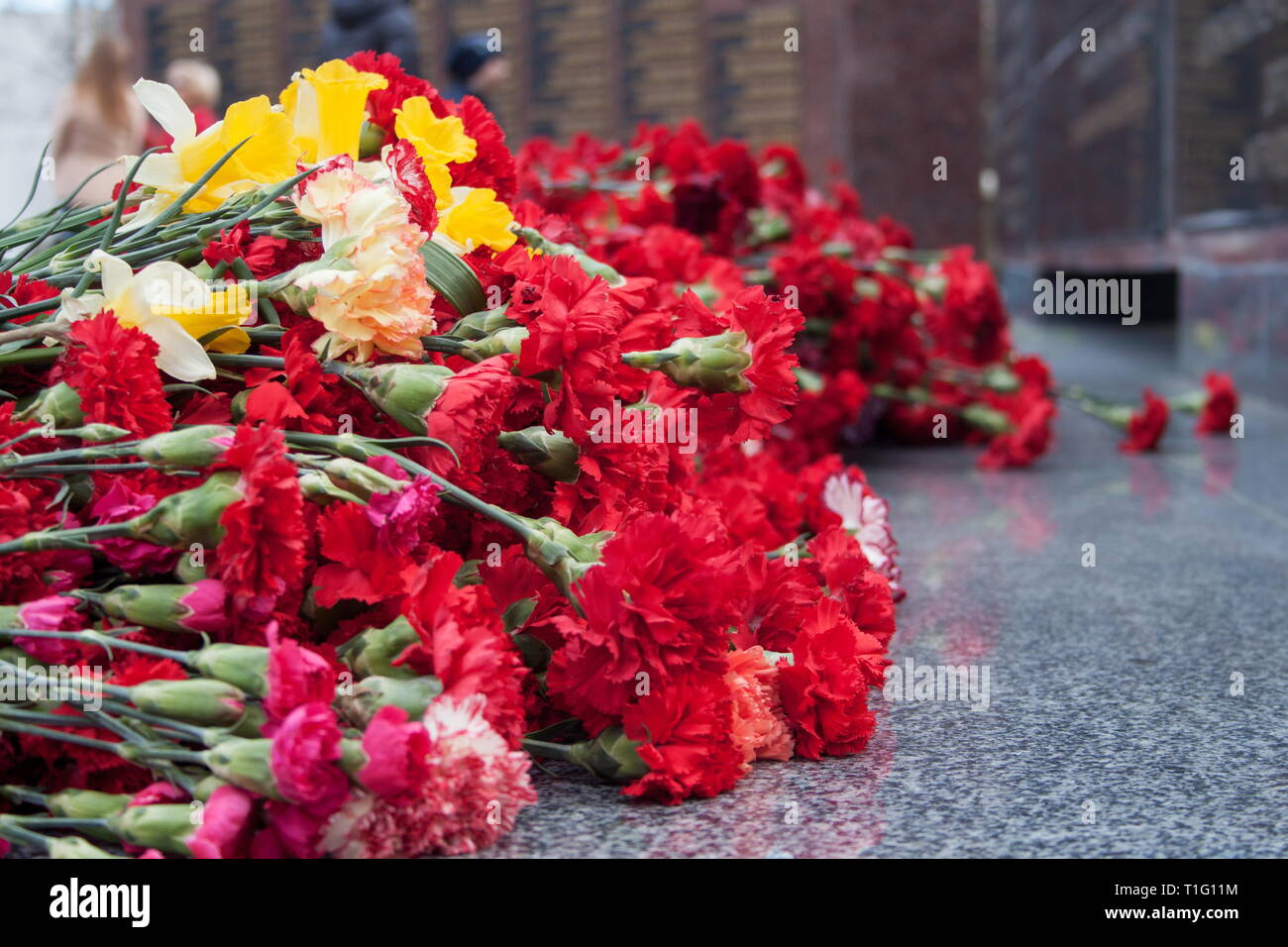 Red carnation flowers at the memorial to fallen soldiers in the world ...