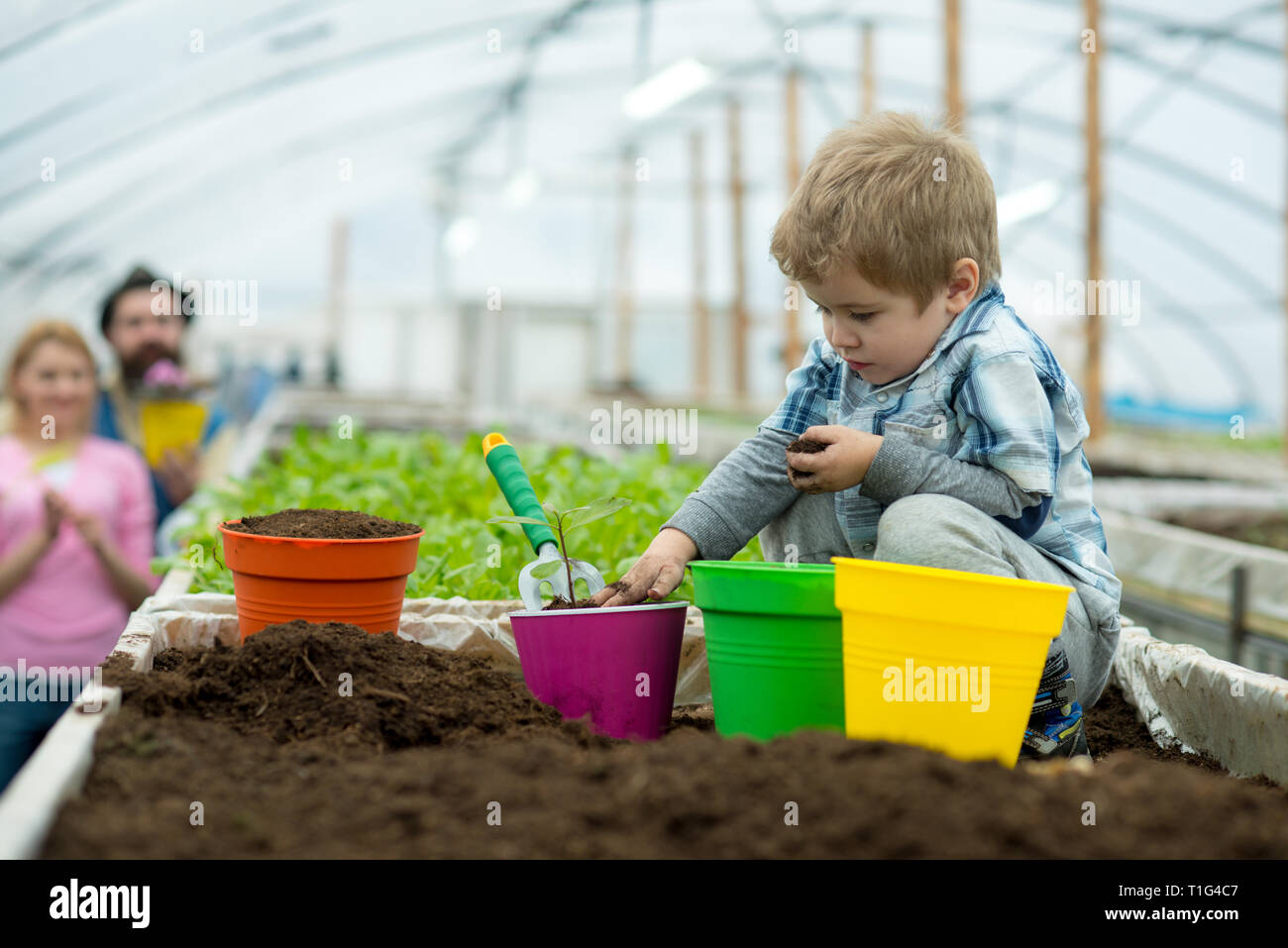 fight pollution. small boy farmer fight pollution. fight pollution by growing plants. fight pollution concept. green life. Stock Photo