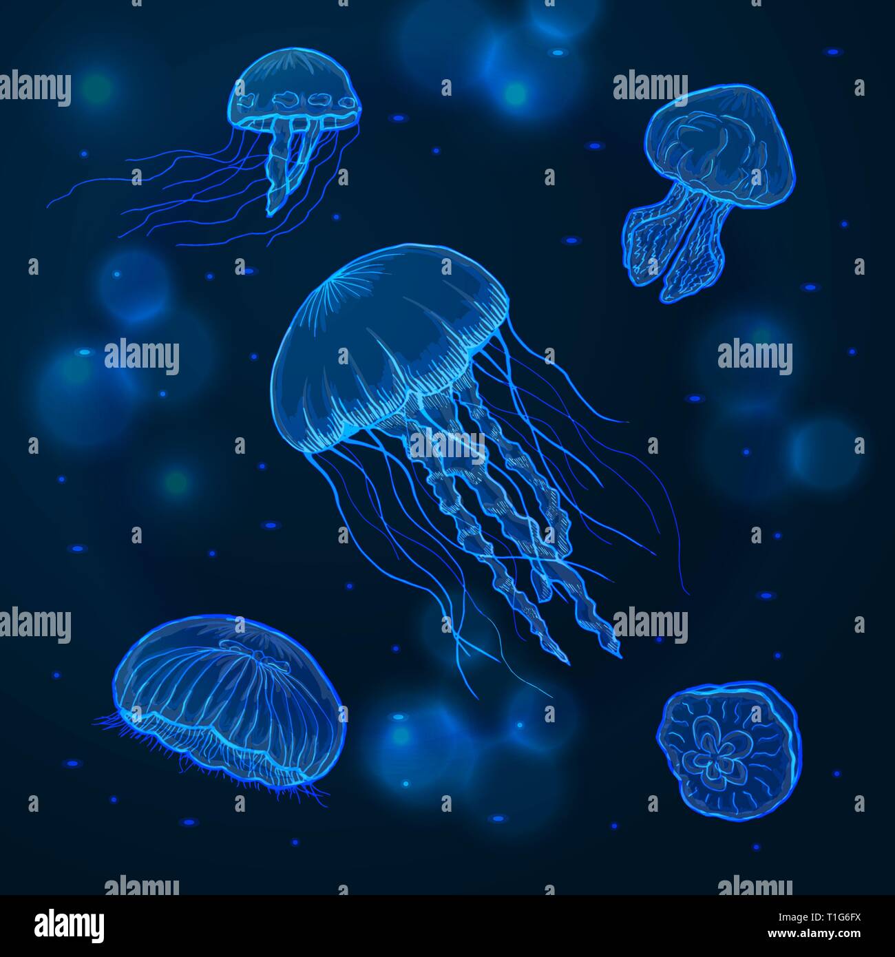 Hand drawn sketch isolated jellyfish, marine animals Stock Vector