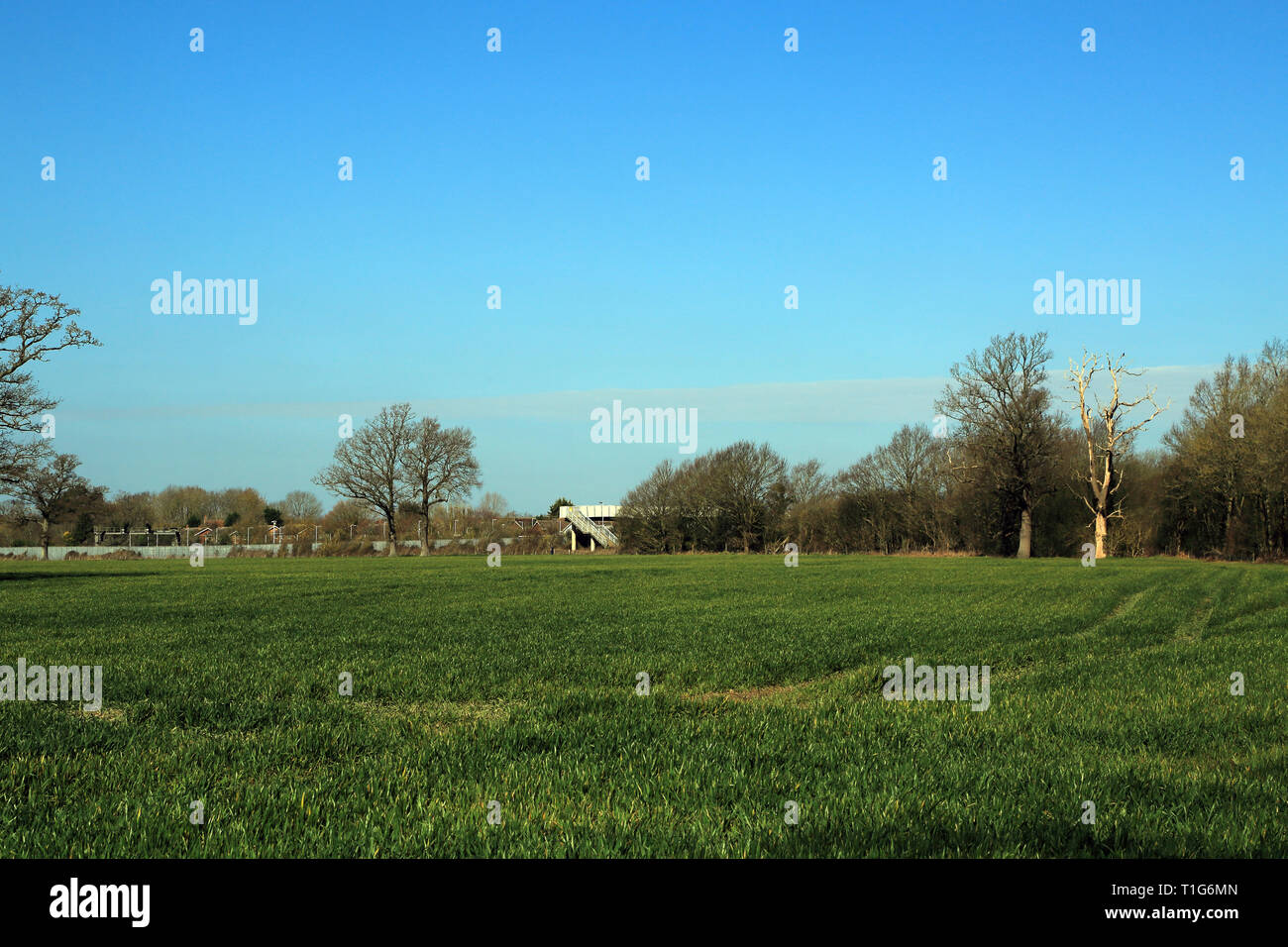 Field with station in the distance at Headcorn, Kent, England, United