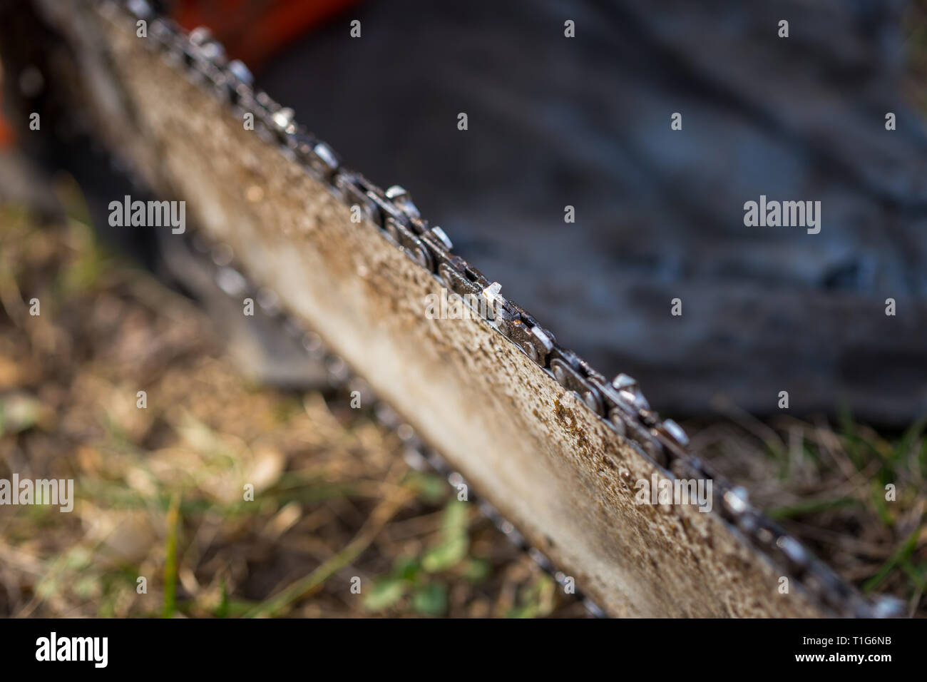 Chainsaw on the ground hi-res stock photography and images - Alamy