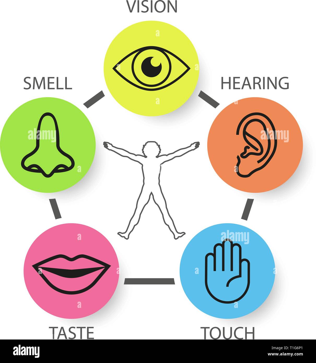 Icon set of five human senses: vision, smell, hearing, touch, taste Stock Vector