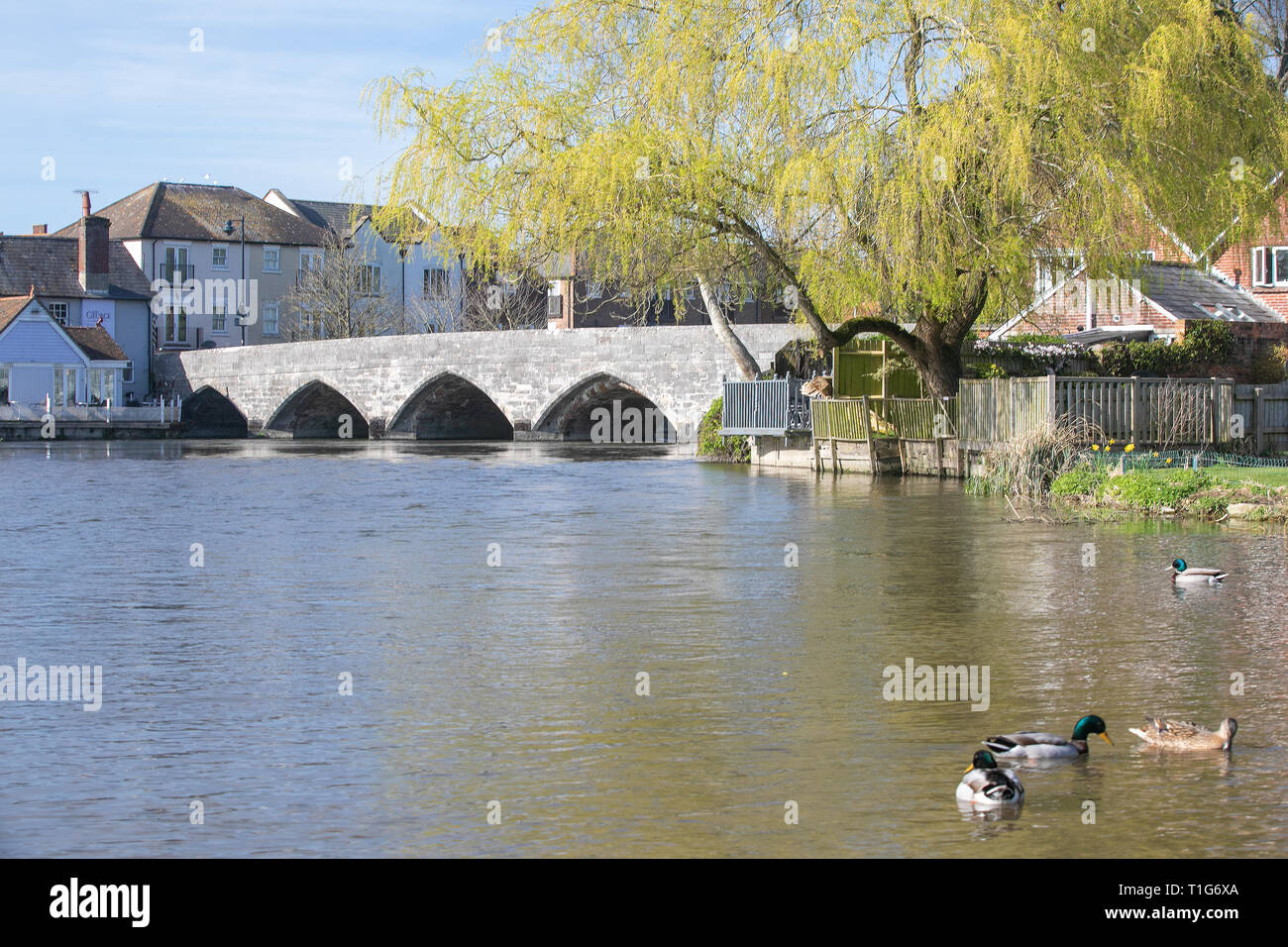 Fordingbridge hires stock photography and images Alamy