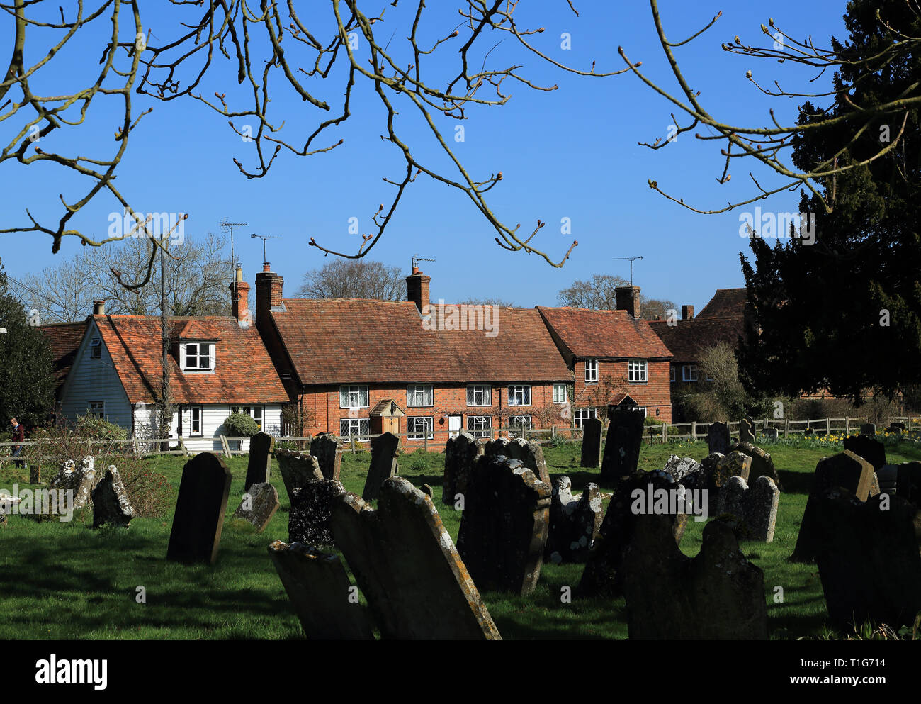 Graveyard and houses on Church Walk, Headcorn, Kent, England, United