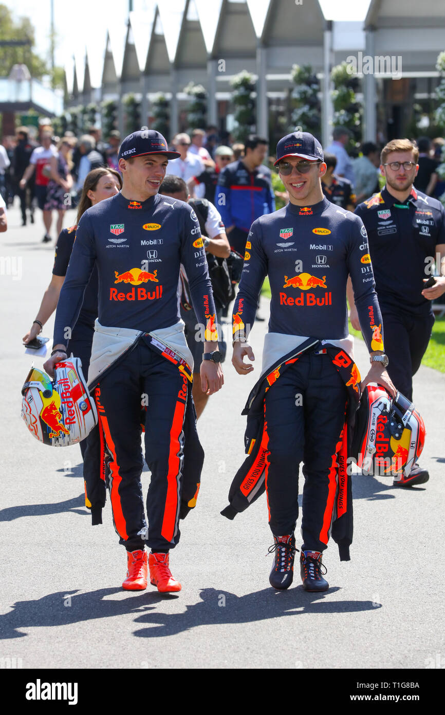 pierre gasly max verstappen
