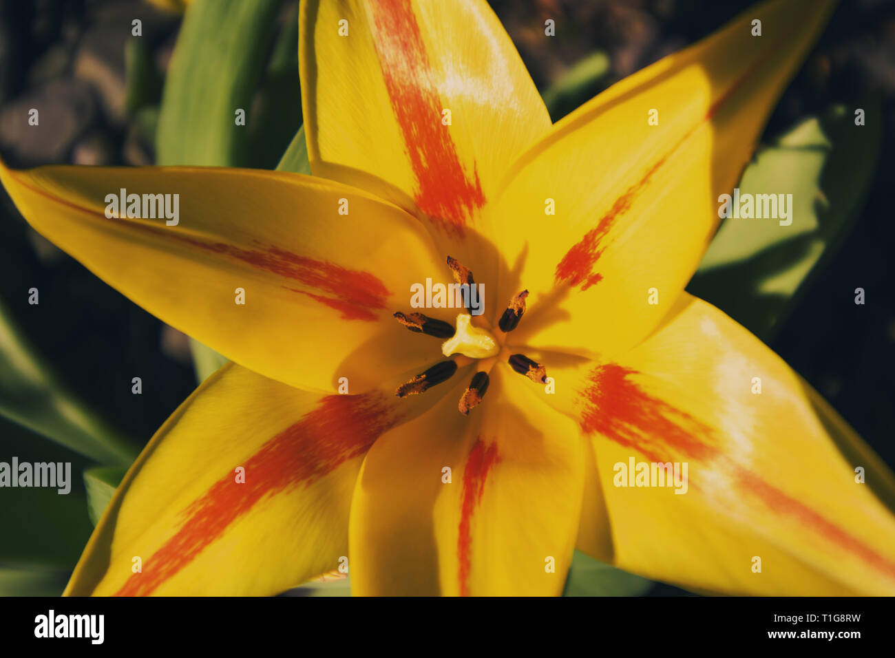 Open colour british hi-res stock photography and images - Alamy
