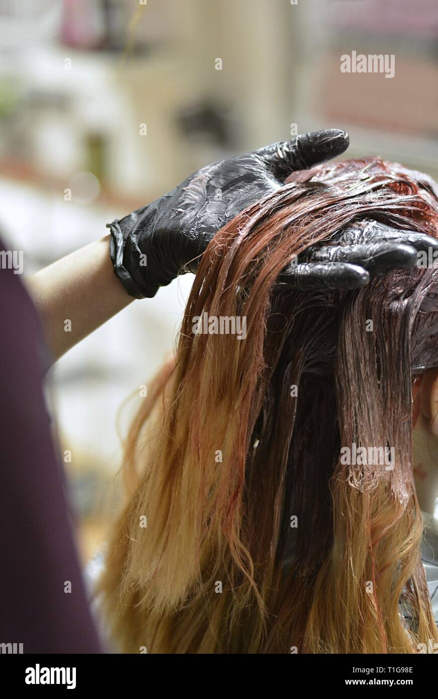 Hairdresser applying color female customer at salon, doing hair dye Stock  Photo - Alamy