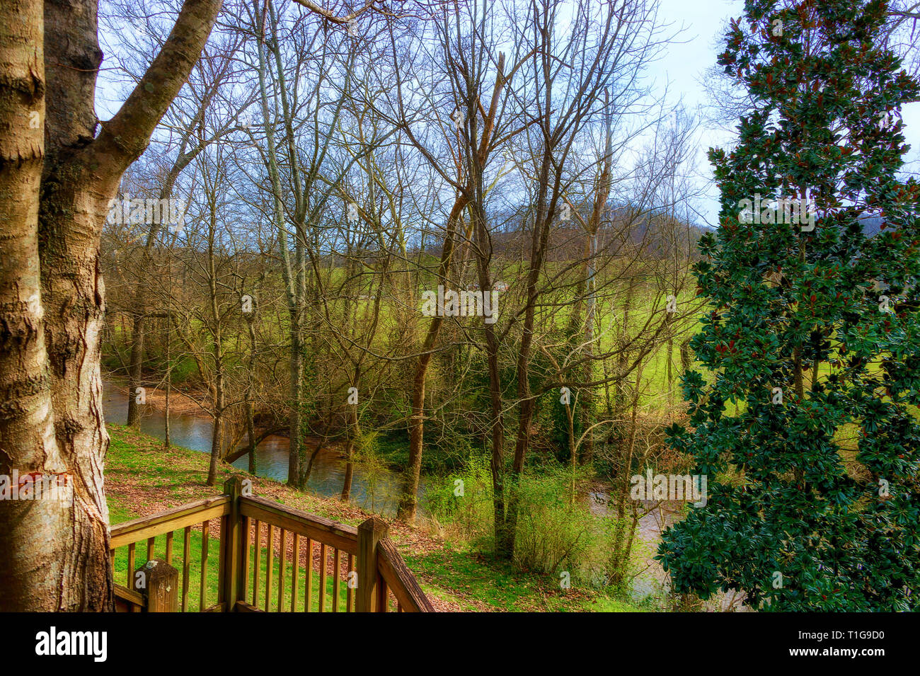 View from a back porch of Leiper's Fork Creek in the Village of Leiper