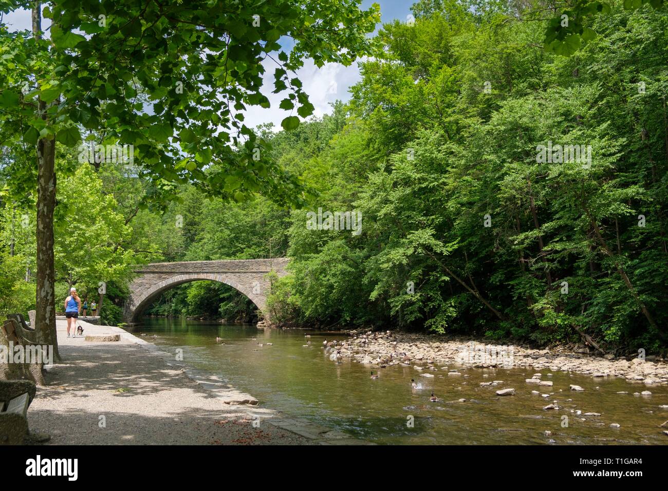 Wissahickon River and Stone Bridge off Forbidden Drive in Northwest Philadelphia near Chestnut Hill, Pennsylvania. Stock Photo