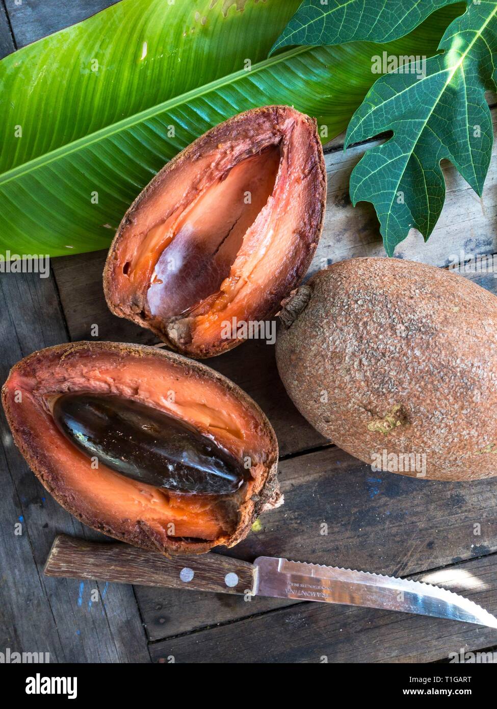 Pouteria sapota, or mamey sapote, cut open on a table in Oaxaca, Mexico Grows in Central America and Cuba. Stock Photo