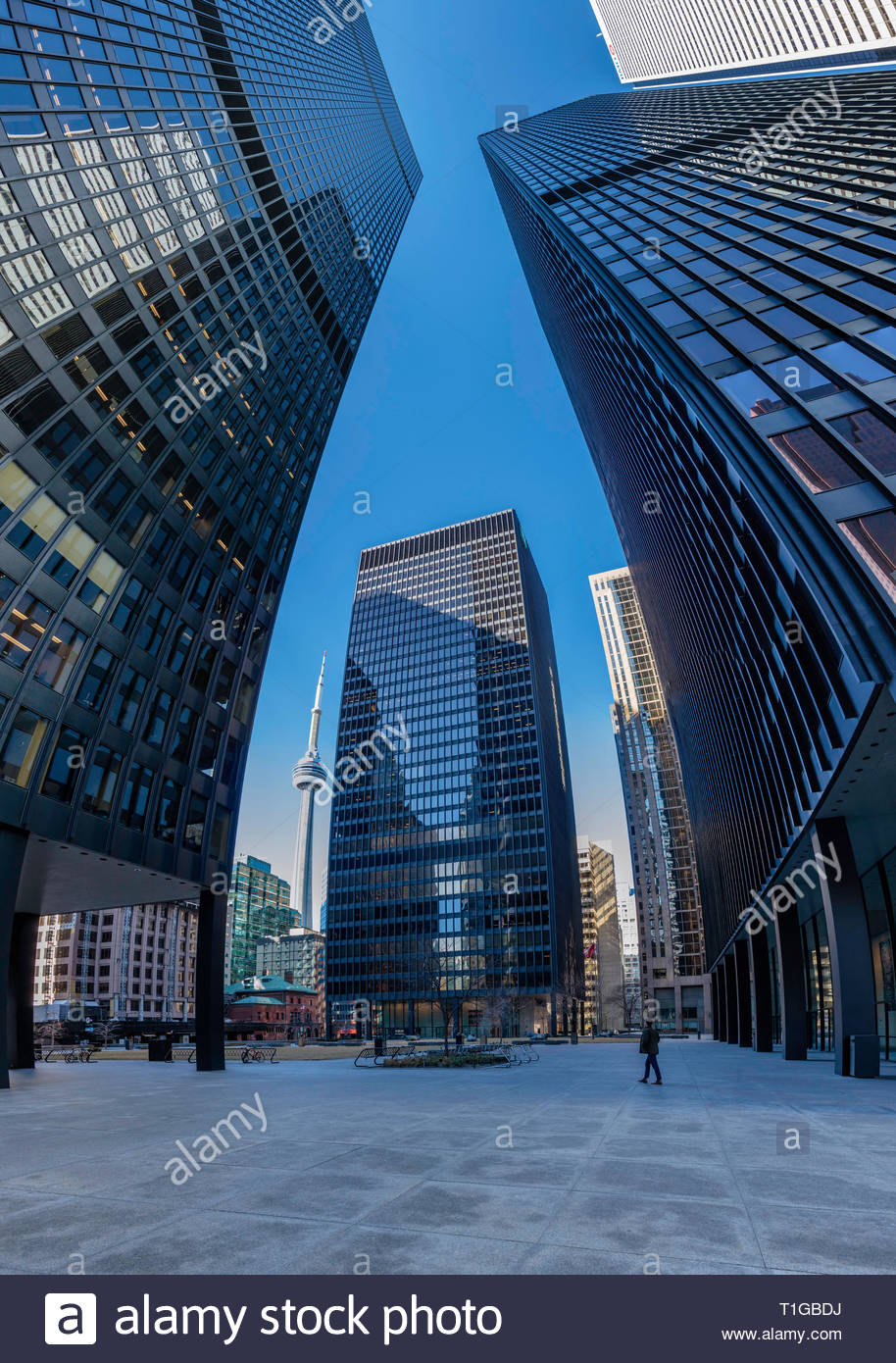 td bank tower or bmo