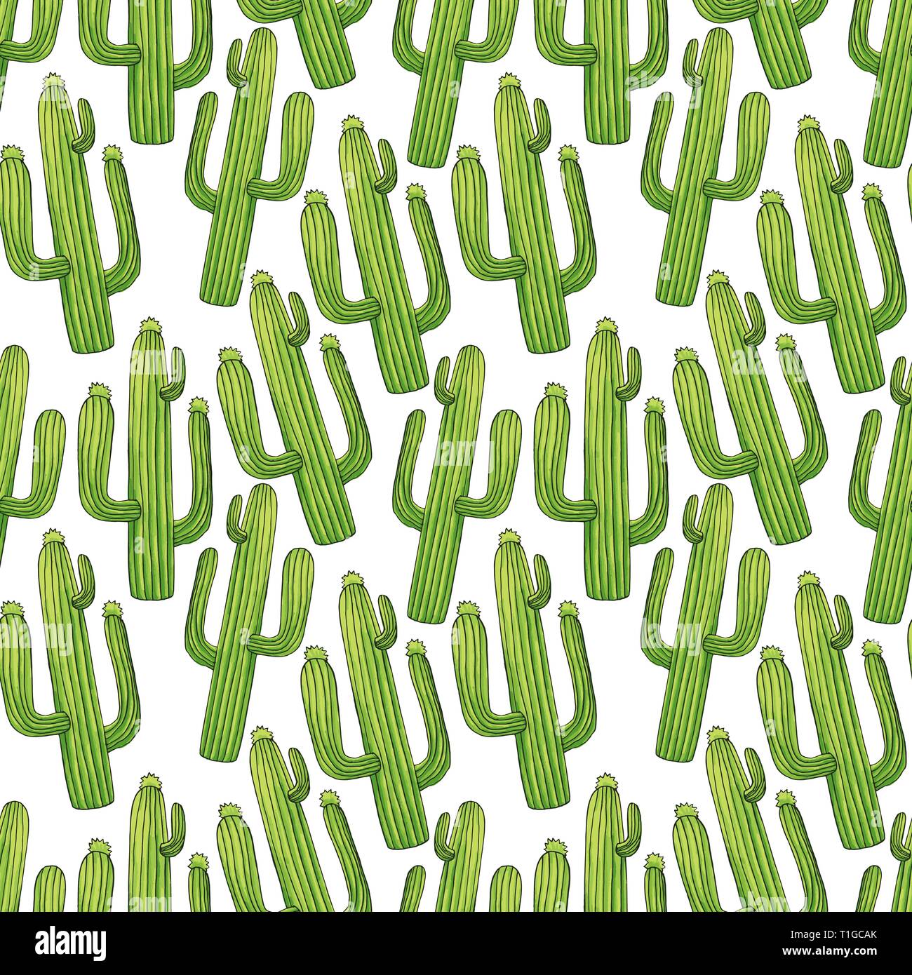 Seamless pattern with mexican cactus with spines or thorns and flowers as banner for cinco de mayo holiday or celebration. Edible or eatable, esculent cacti saguaro, indian fig or mammillaria cactus. Stock Vector