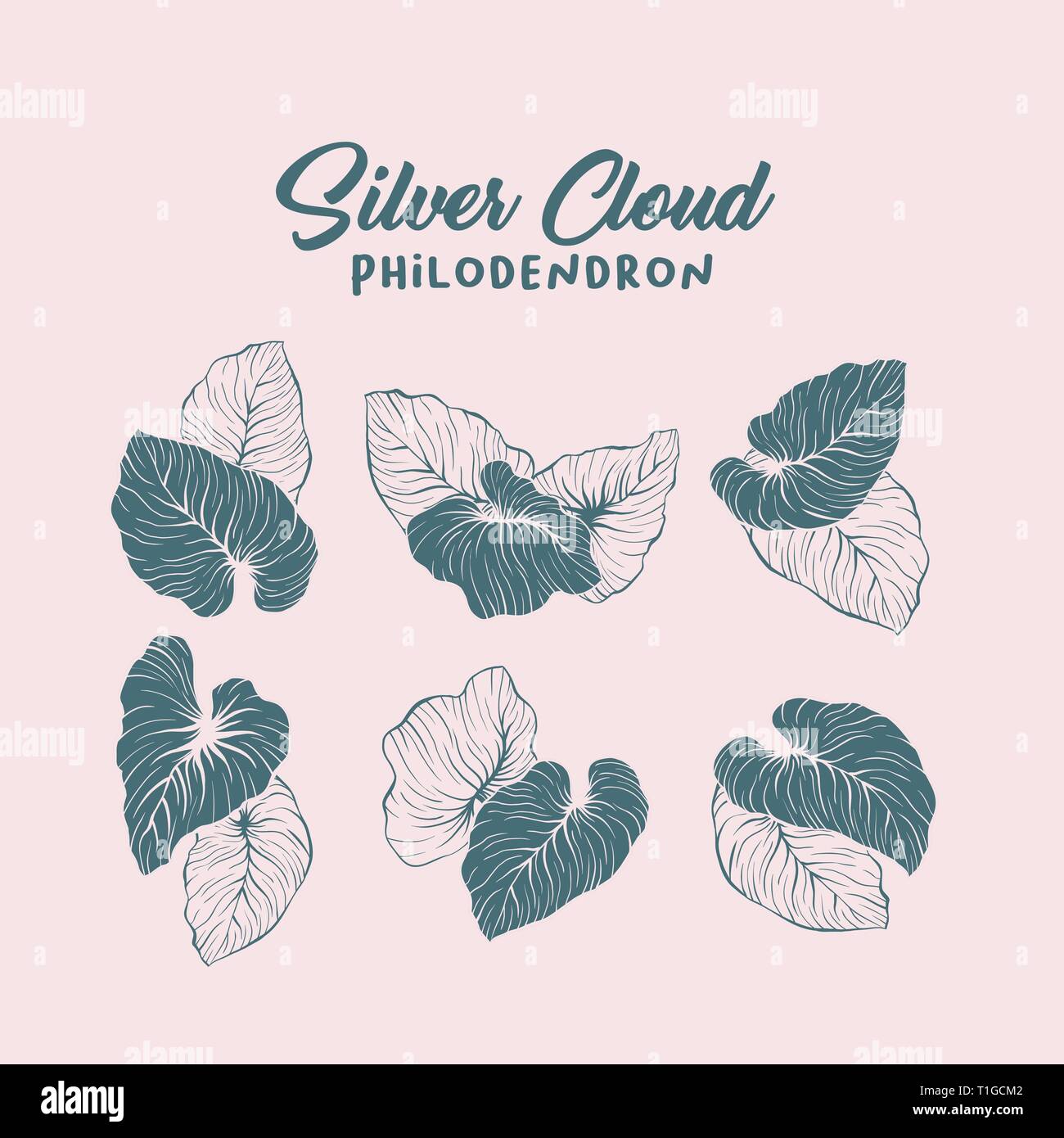 Silver cloud, palm leaf contour illustration set. Monstera leaves silhouettes pack. Jungle, rainforest leafage and handwritten lettering composition. Exotic, tropical foliage outline drawing Stock Vector