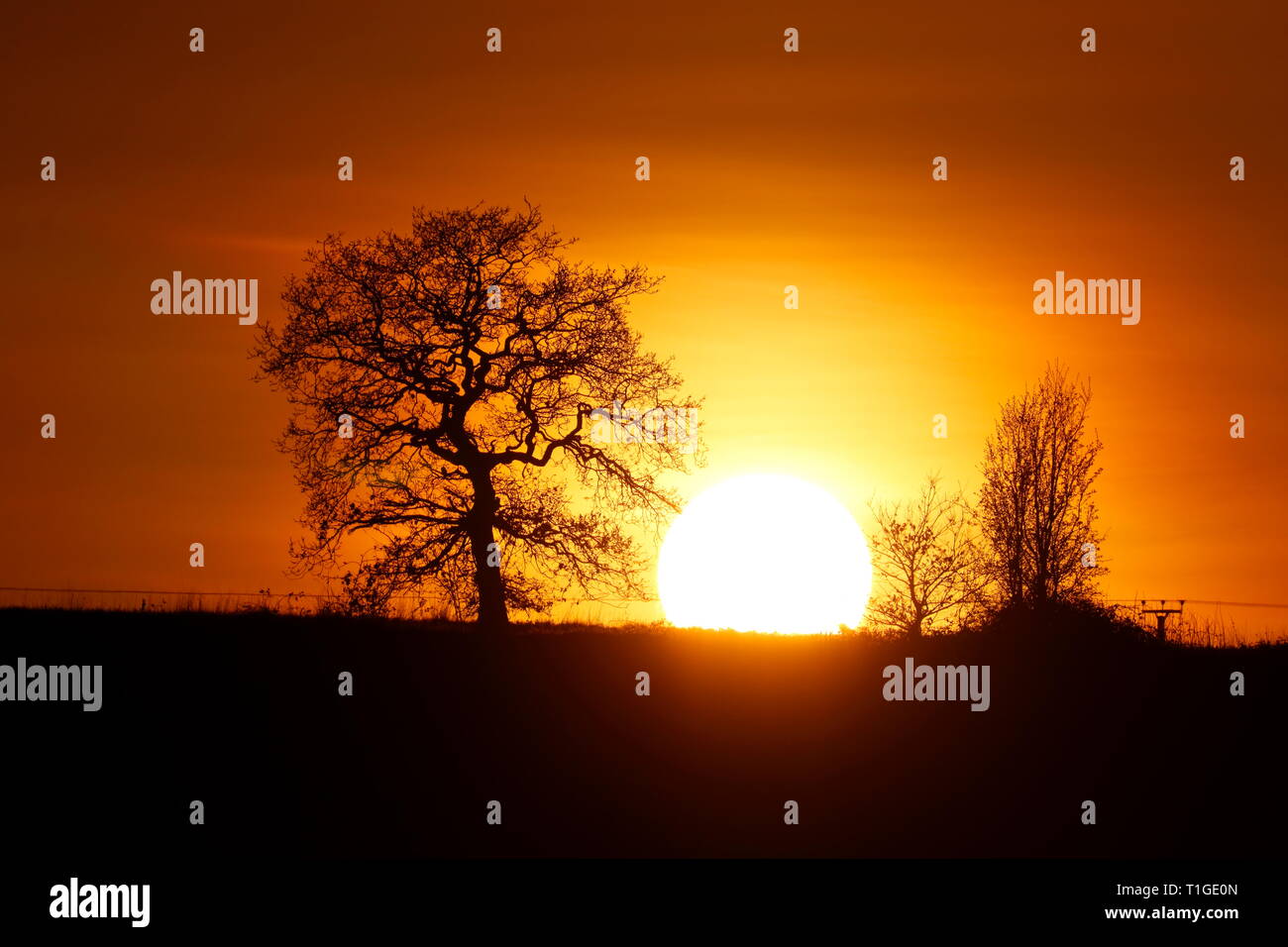The sun setting behind trees at Swillington Common Stock Photo Alamy