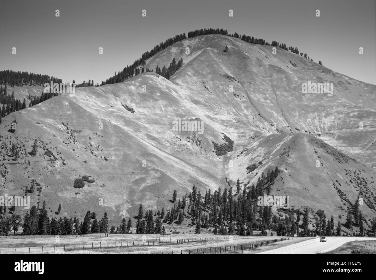 A beautiful stark mountain with a scattering of pines along the interstate highway I-90 in Montana, USA, in black and white Stock Photo