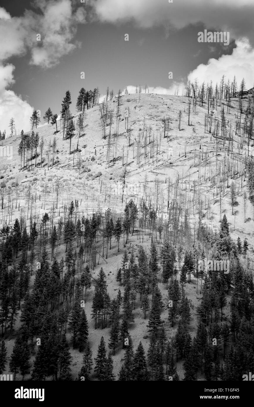 A big sky country view of shadows made by big fluffy white clouds on a mountaintop in western Montana, USA, in black and white Stock Photo